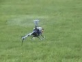 Flyerbug\