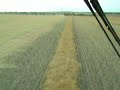 Lefebure.com - Harvest 2004 - ND - Thrashing Swathed Canola