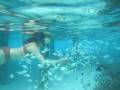 videos de MVI_2441.AVI