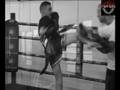 REALFIGHTERS back in history