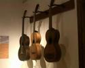 Collezione strumenti musicali Spada
