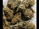 Psychoactive Drugs in Human History Psychoactive Drugs in Human History