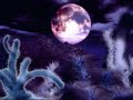 David & Carr - Every Day (Dennis Sheperd Remix) David & Carr - Every Day (Dennis Sheperd Remix)