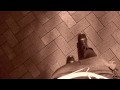 katrock-自由天空曲,詞-Kat...