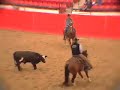 NCHA Cutting Horse - Music Video