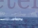 Jetski Fun @ KOS