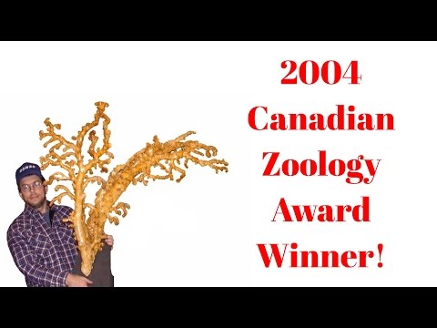 Zoology Award Presented