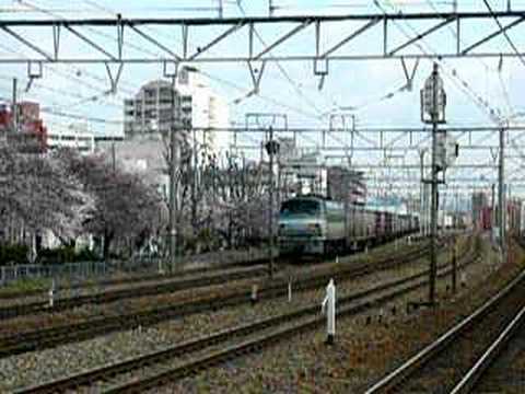 東淀川にて