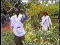 SOMALI RAXANWAYN ABWAAN FANAAN TARASH