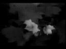 Kana - Hamushi -Gomi Bako Shiki- (PV)