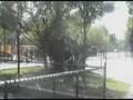 videos de Over the fence 2.0