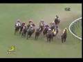 CBC賞動画4