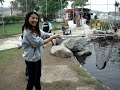 Marc Yu playing with the Trout