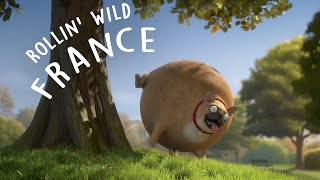 Rollin France - what if animals were round?