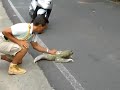 I favorited a @YouTube video from @toban0 http://t.co/5wW748tI Sloth Crossing the Street- I Believe I Can Fly Version