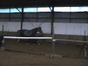 Gentry Free Jumping