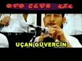 Sunaj Vijolina cucek frrrr