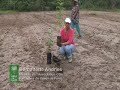 Coeur de foret guyane 3
