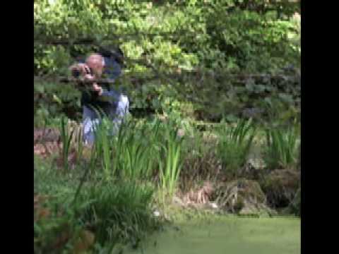 how to collect rhododendron seeds