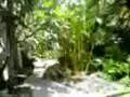 koh samui reporter  favoloso resort 200 euro al giorno