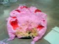 pastelaso