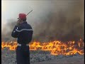 feu de foret