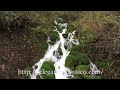 旅日記情報府【ブナ坂の滝】