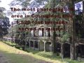 corregidor trip