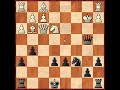 Sicilian B90 (Nf3+)