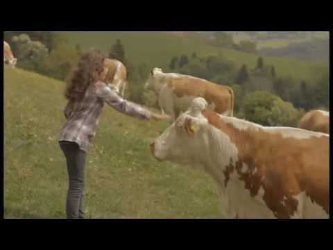 Was ist Biodiversität?