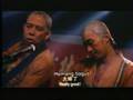 Shaolin-rocks