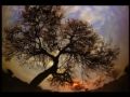 Salmo para dar la Vida :: Una oración para disponernos a hacer de nuestra vida una constante...