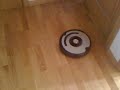Roomba asesina
