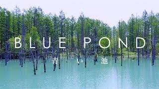 空撮 青い池 / Blue Pond taken with DJI Mavic Pro