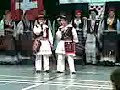 smotra folklora u z�richu