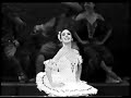 fen�meno - Rolando Sarabita - coda quixote