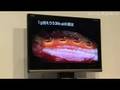 Sharp's Healsio : DigInfo