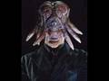 videos de docwho.wmv