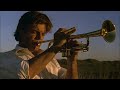 Dingo Dingo