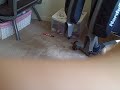 xxx,watch before it gets removed!