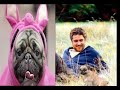 GERARD BUTLER - PUG OF MY HEART - NILSSON GERARD BUTLER - PUG OF MY HEART - NILSSON