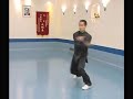 Ba Gua Cheng style