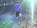Papillon video