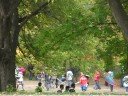 Parc mont-royal