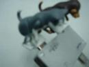 USB Dog Crazy Humping