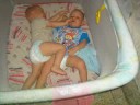 videos de murilo e danilo