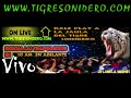 tigre sonidero la jaula del sabor