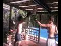 ufc incontri clandestini