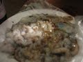 Live squid