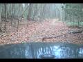 7-Standing-water-on-